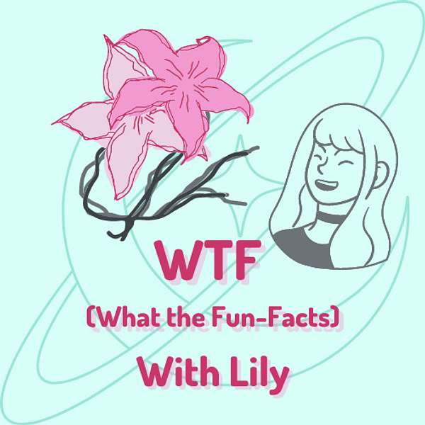 WTF (What the Fun-Facts) with Lily Podcast Artwork Image