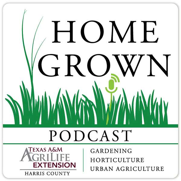 Home Grown Podcast Podcast Artwork Image