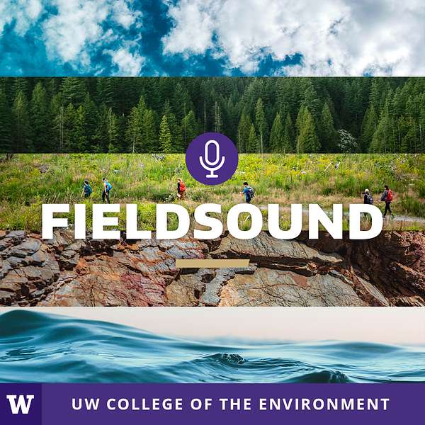 Artwork for FieldSound - The official UW College of the Environment podcast