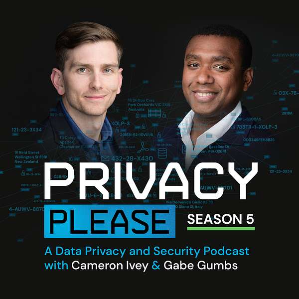 Privacy Please Podcast Artwork Image