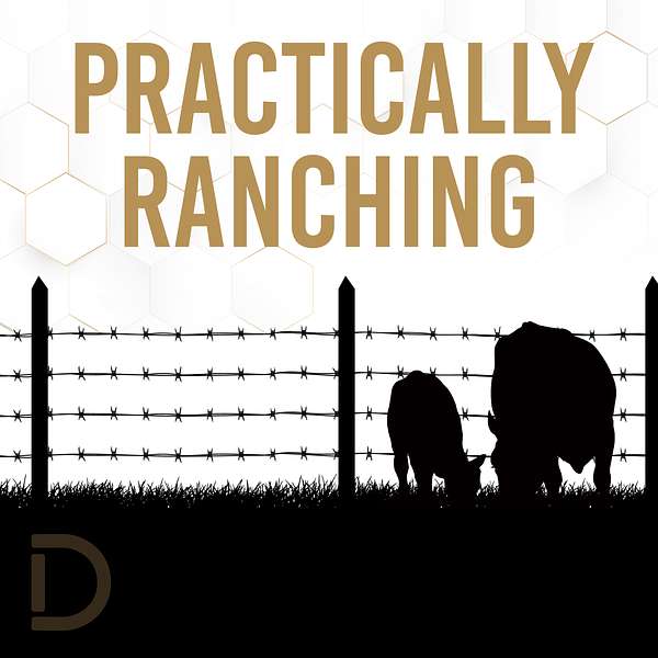 Practically Ranching Podcast Artwork Image
