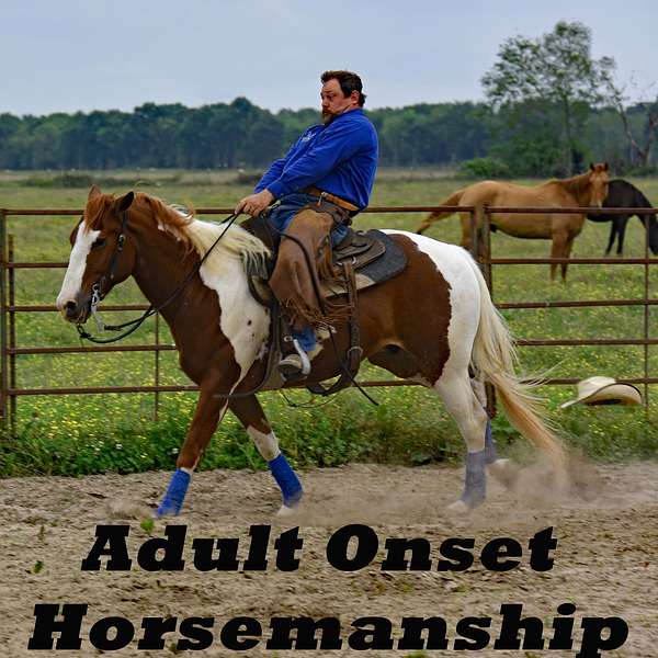 Adult Onset Horsemanship Podcast Artwork Image