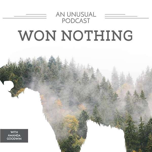 Won Nothing Podcast Podcast Artwork Image