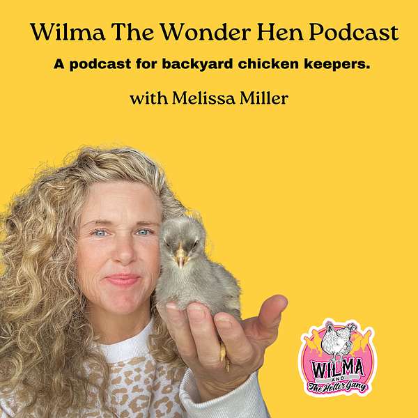 Wilma The Wonder Hen Podcast Podcast Artwork Image