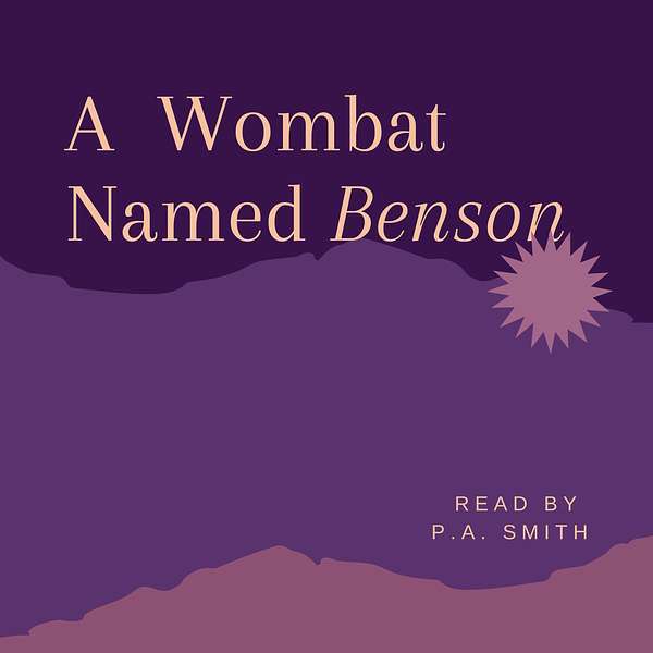Stories of Benson the Wombat, his family and friends Podcast Artwork Image