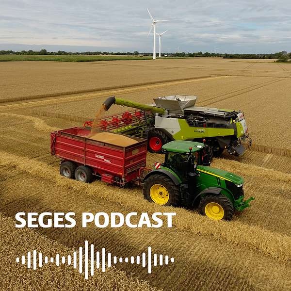 Plante-podcast fra SEGES Innovation Podcast Artwork Image