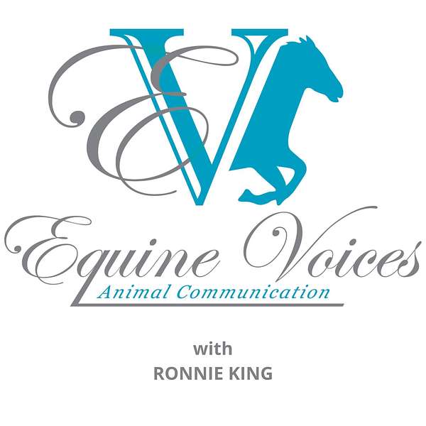 Equine Voices Podcast Podcast Artwork Image