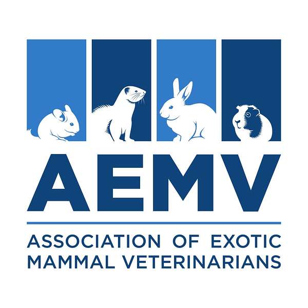 Down the Rabbit Hole with AEMV: Exotic Companion Mammal Briefs Podcast Artwork Image