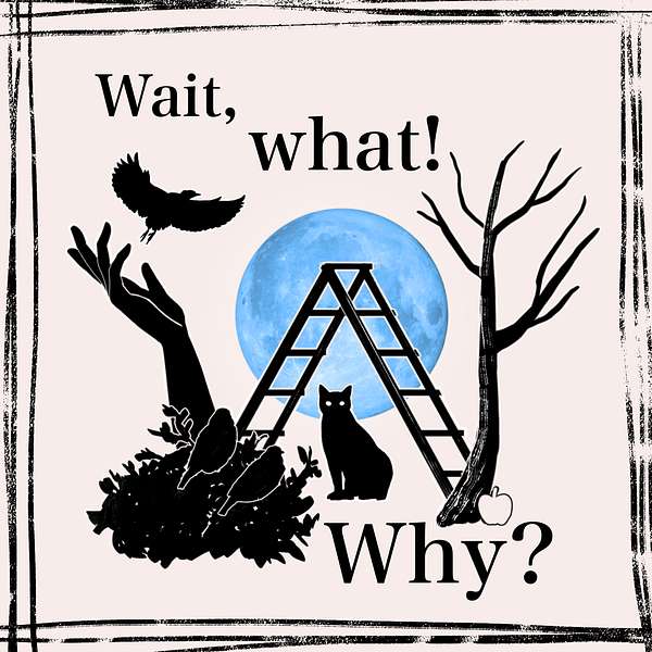 Wait, What! Why? Podcast Artwork Image