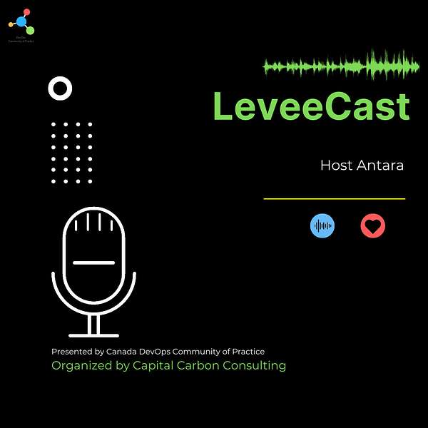Leveecast 's Podcast Podcast Artwork Image