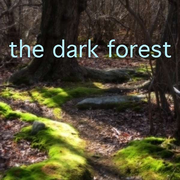The Dark Forest Podcast Artwork Image