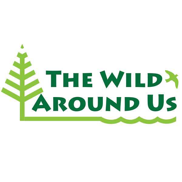 The Wild Around Us Podcast Artwork Image