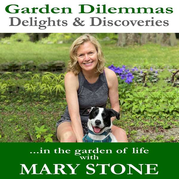 Garden Dilemmas, Delights & Discoveries Podcast Artwork Image