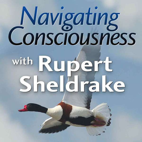 Navigating Consciousness with Rupert Sheldrake Podcast Artwork Image