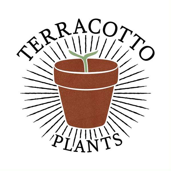 Terracotto Podcast Podcast Artwork Image