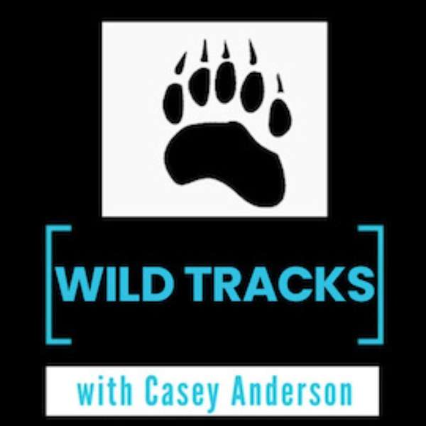 Wild Tracks with Casey Anderson Podcast Artwork Image