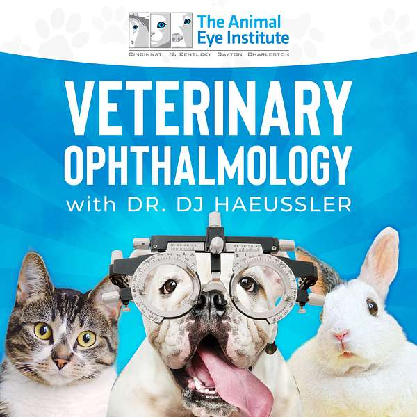 Veterinary Ophthalmology Podcast Artwork Image