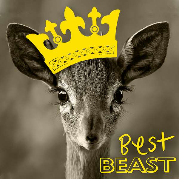 Best Beast Podcast Artwork Image