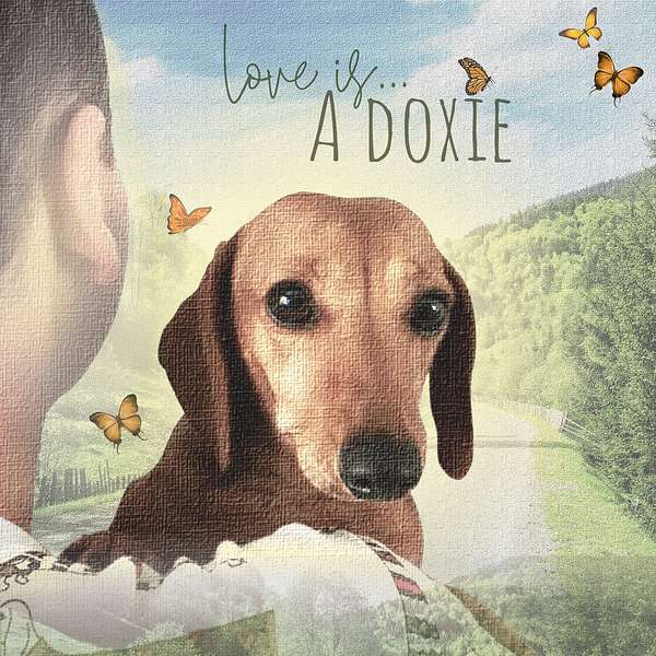 Love Is A Doxie Podcast Artwork Image