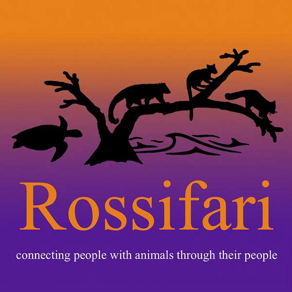 Rossifari Podcast - Zoos, Aquariums, and Animal Conservation Podcast Artwork Image