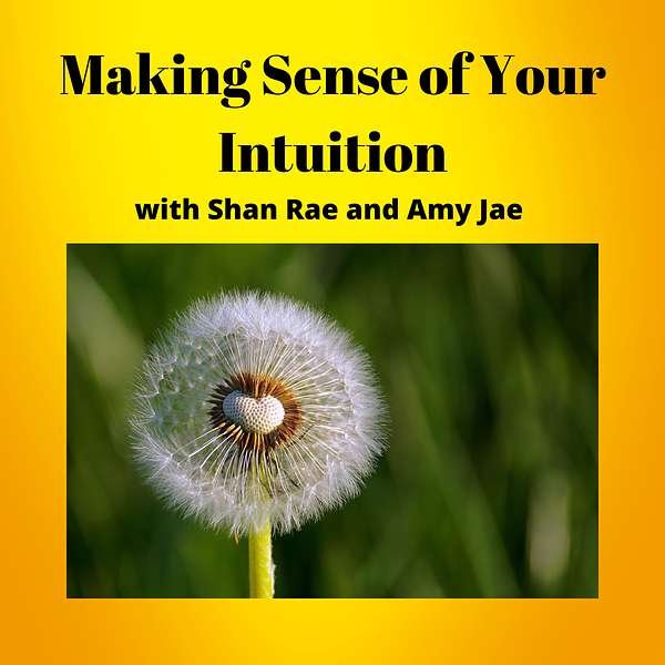 Making Sense of Your Intuition Podcast Artwork Image