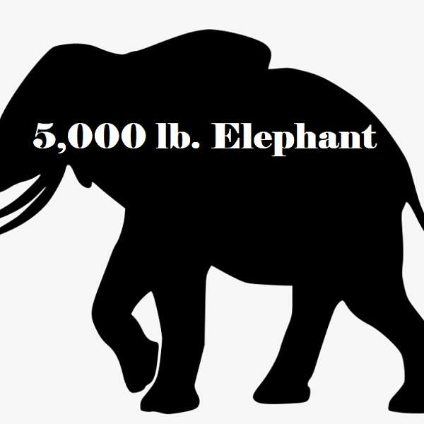 The 5,000 lb. Elephant Podcast Artwork Image
