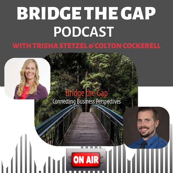 Bridge the Gap Podcast  Connecting Business Perspectives Podcast Artwork Image