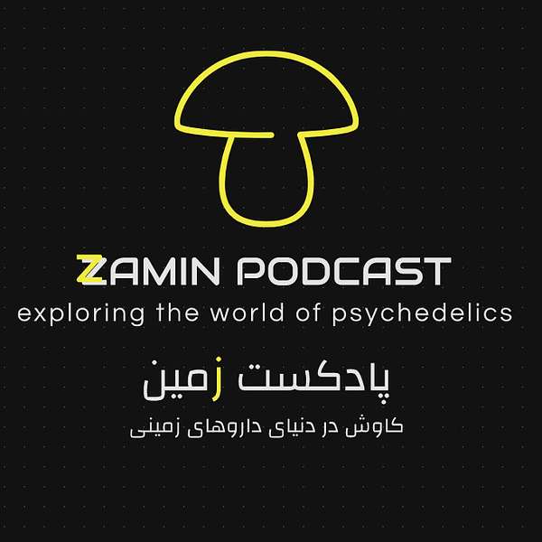 Zamin Podcast -  پادكست زمين Podcast Artwork Image