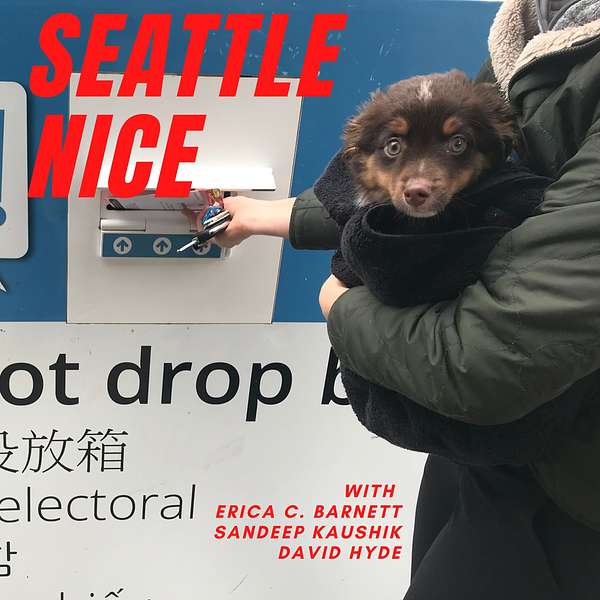 Seattle Nice Podcast Artwork Image