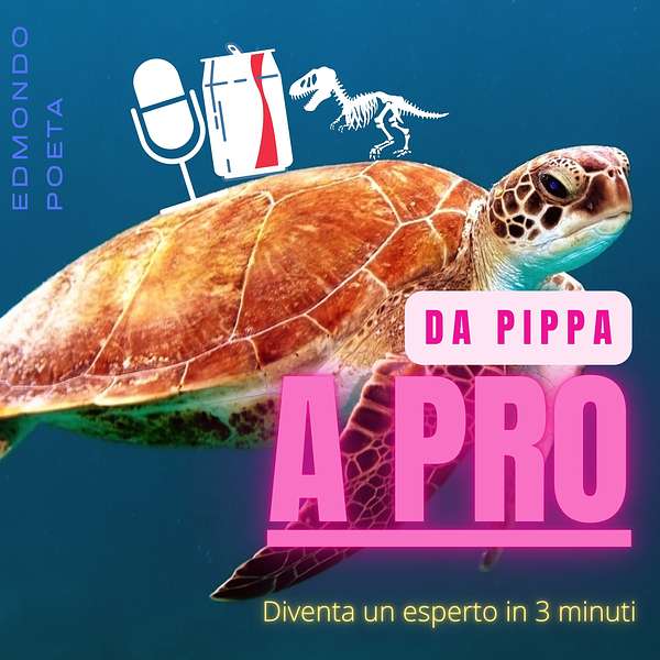 Da Pippa a Pro Podcast Artwork Image