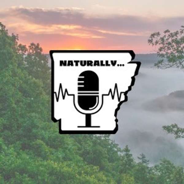 Naturally... Podcast Artwork Image