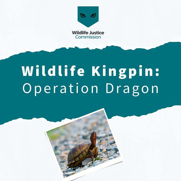 Wildlife Kingpin Podcast Artwork Image