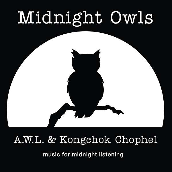 Midnight Owls Podcast Artwork Image