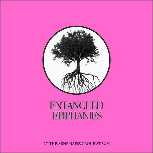 Entangled Epiphanies Podcast Artwork Image