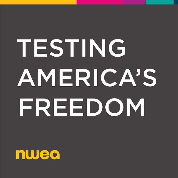 Testing America's Freedom  Podcast Artwork Image
