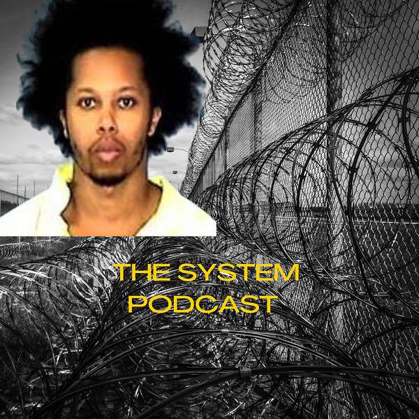 The System  Podcast Artwork Image