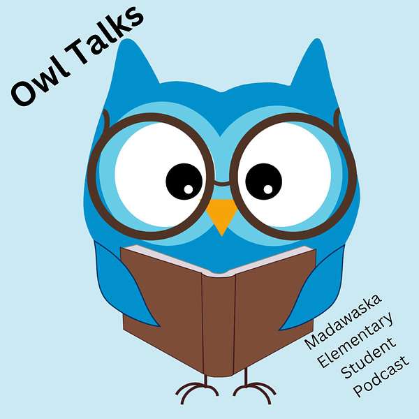 Owl Talks Podcast Artwork Image