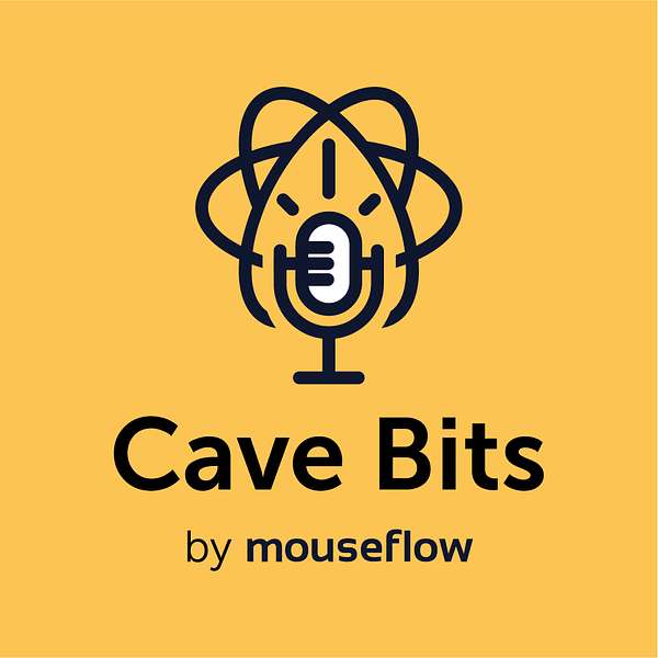 Cave Bits: Uncovering Website Analytics Podcast Artwork Image