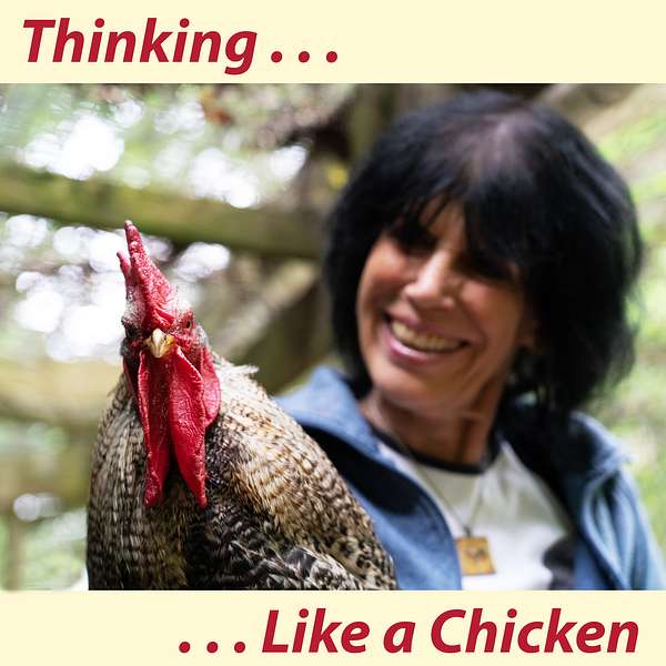 Thinking Like a Chicken Podcast Artwork Image