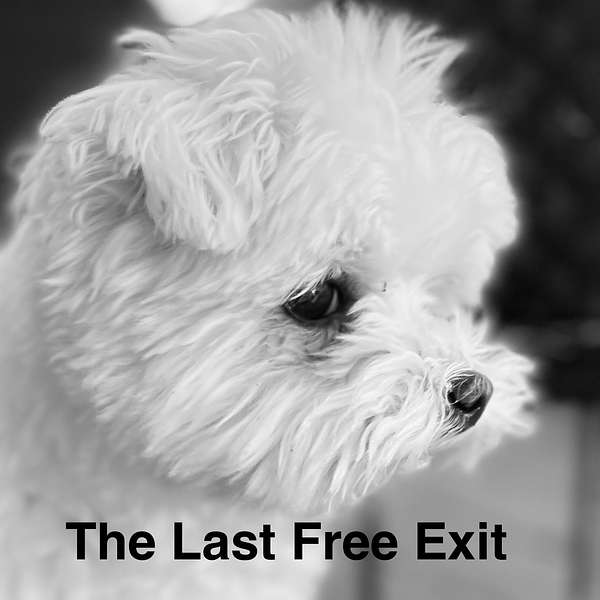 The Last Free Exit Podcast Artwork Image