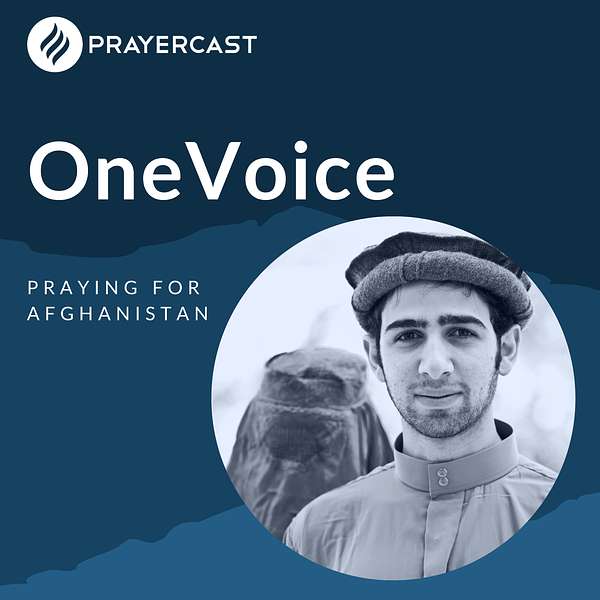 OneVoice Podcast Artwork Image