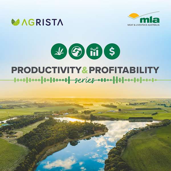 Productivity and Profitability Media Series  Podcast Artwork Image
