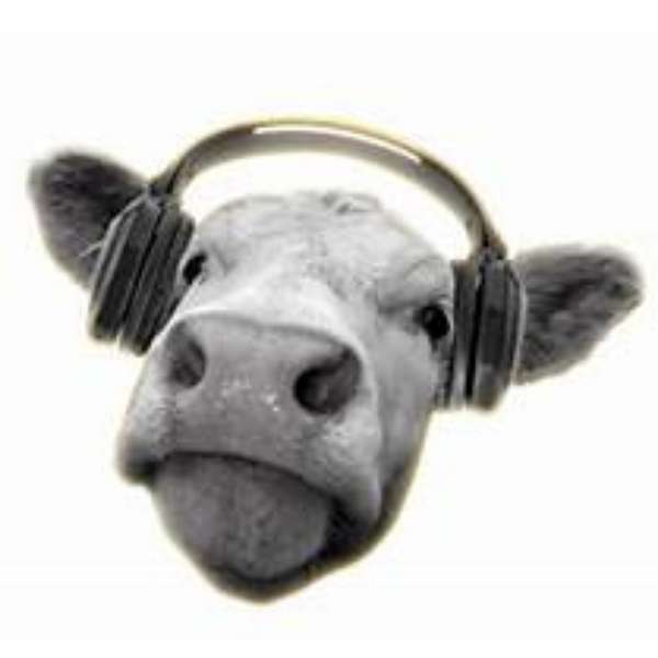 Cows, Not Cow - How To Make Your Networking Really Work! Podcast Artwork Image