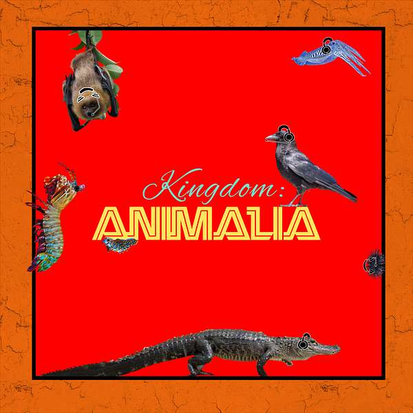 Kingdom: Animalia - A Zoology Podcast for Kids Podcast Artwork Image