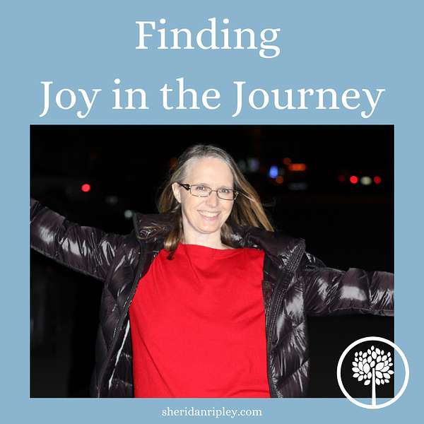 Finding Joy in the Journey Podcast Artwork Image