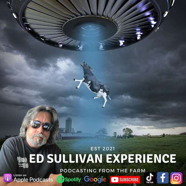 Ed Sullivan Experience Podcast Artwork Image