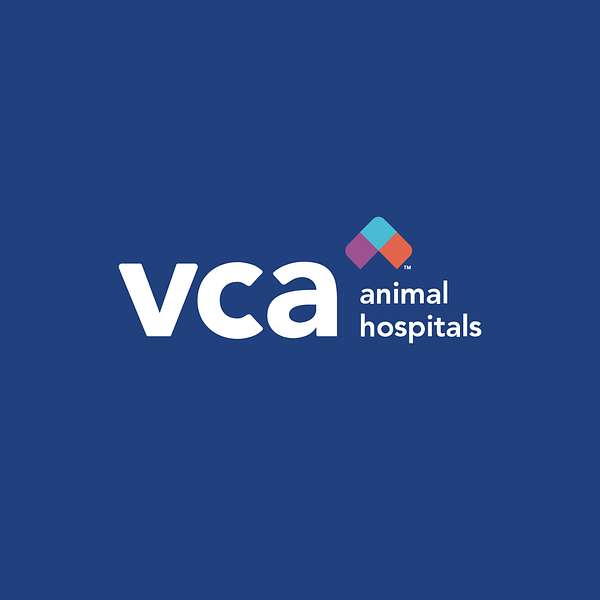 Artwork for VCA Voice: A Veterinary Podcast 