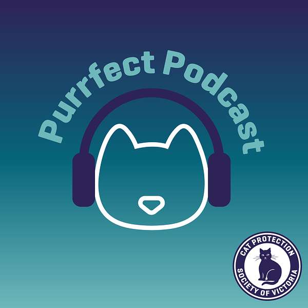Purrfect Podcast Podcast Artwork Image