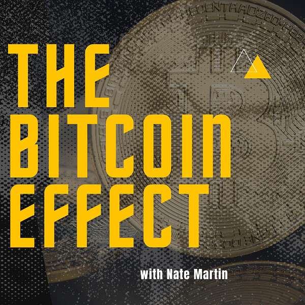 The Bitcoin Effect Podcast Artwork Image