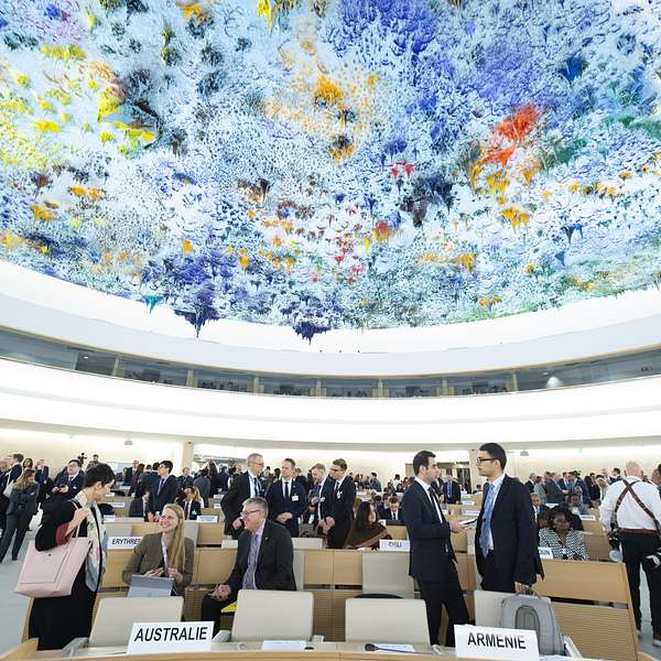 The UN Brief Podcast Artwork Image